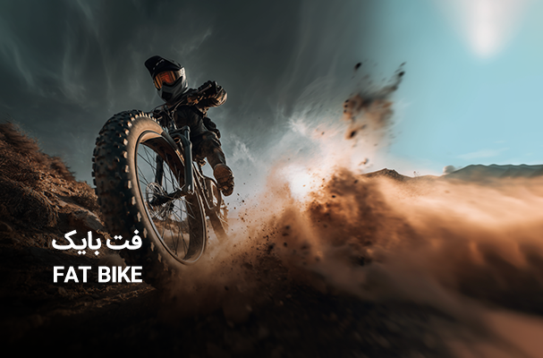 Fat Bike